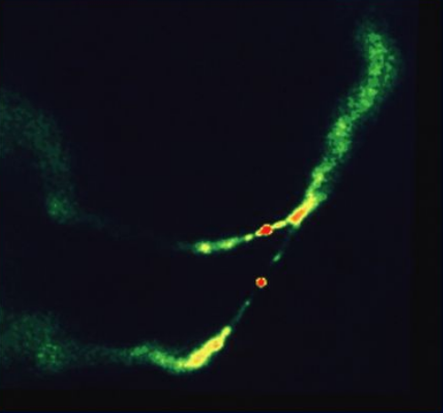 image of two supermassive black hole engines