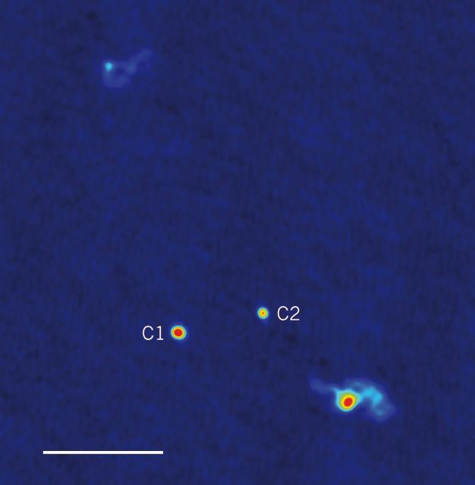 image of supermassive black hole pair