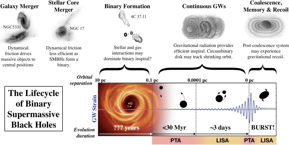 Galaxies And Supermassive Black Holes | NANOGrav