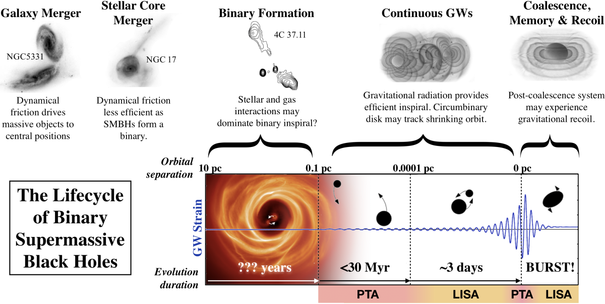 Lifecycle of Binary Supermassive Black Holes