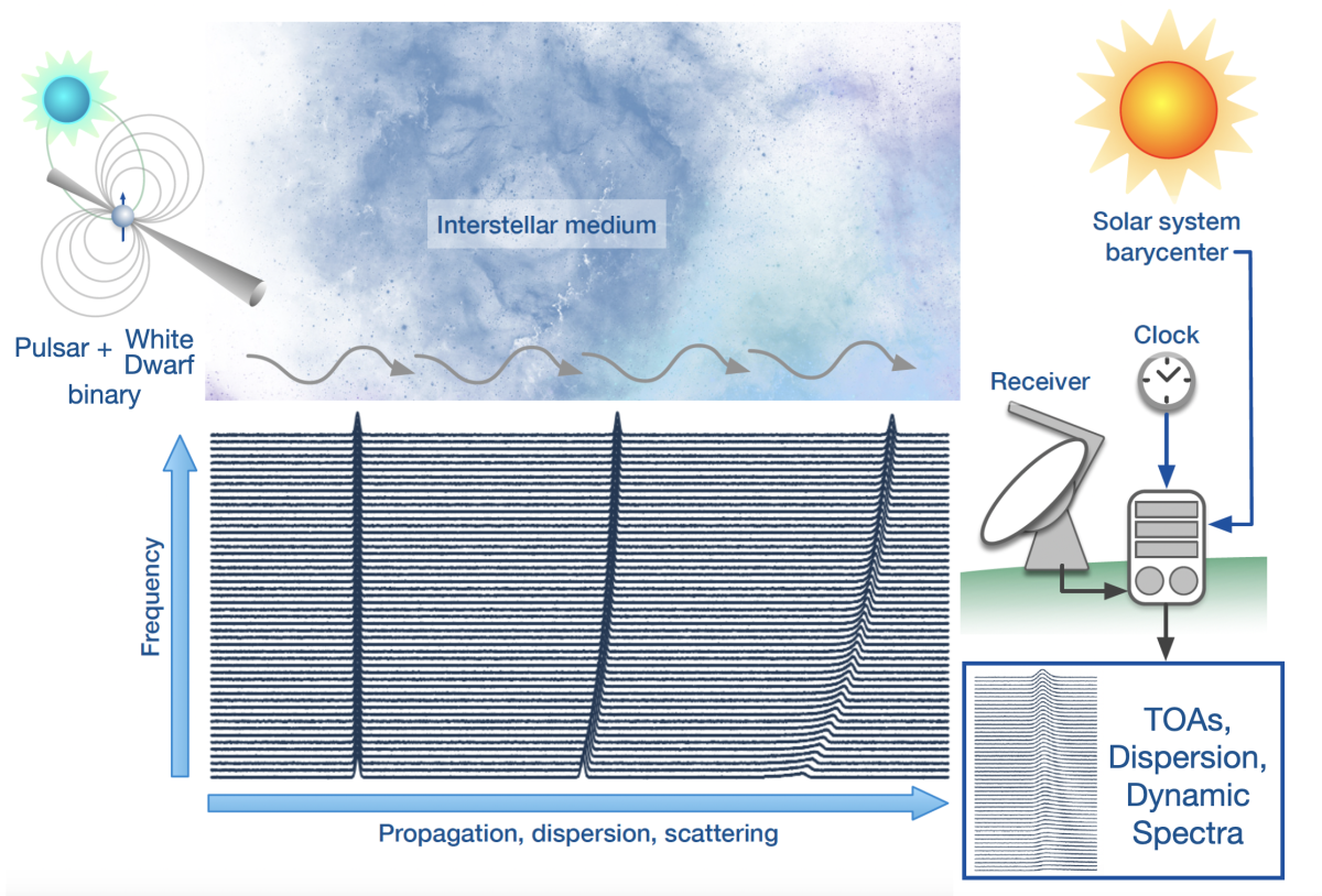 Illustration of the signal path from the pulsar to our detector.