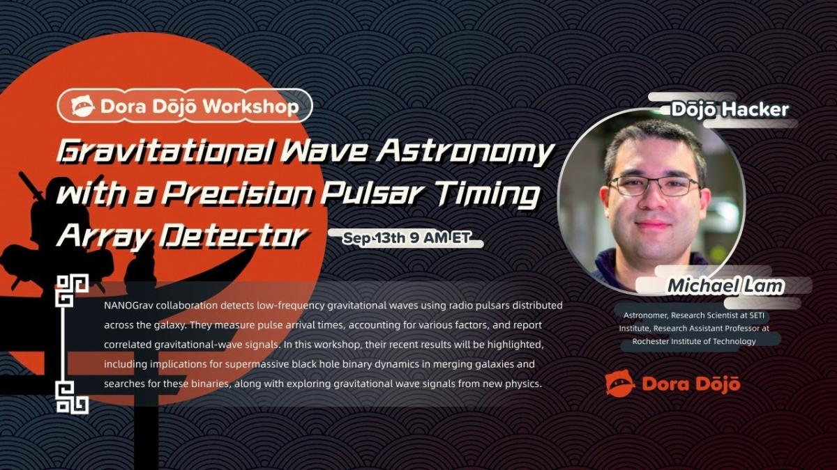 Dora Dojo Workshop Poster: Gravitational Wave Astronomy with a Precision Pulsar Timing Array Detector
