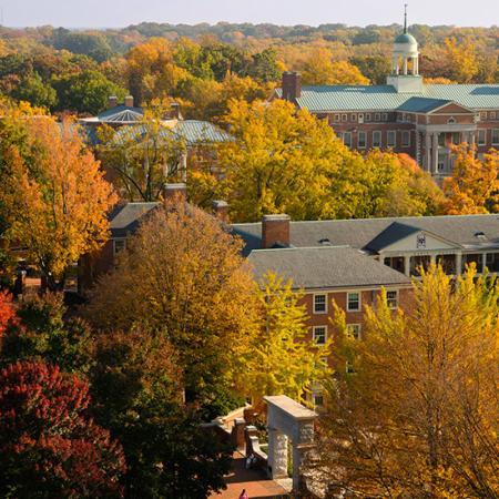 Wake Forest